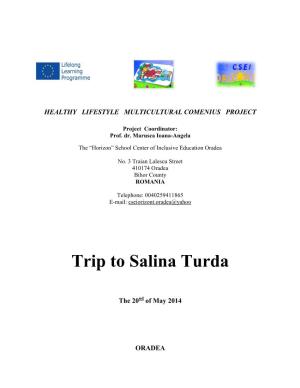 Trip to Salina Turda