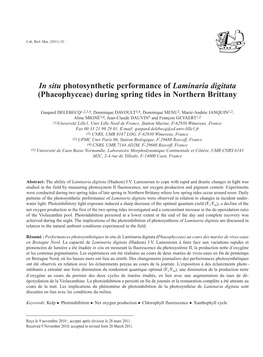 MS11-Mmar Delebecq.Pdf