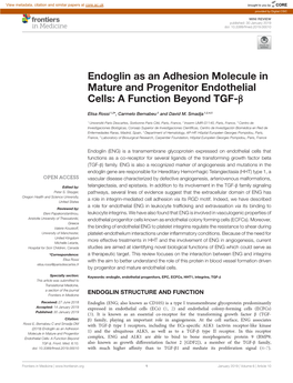 Endoglin As an Adhesion Molecule in Mature and Progenitor Endothelial Cells: a Function Beyond TGF-Β