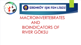 MACROINVERTEBRATES and BIOINDICATORS of RIVER GÖKSU Diptera General Information
