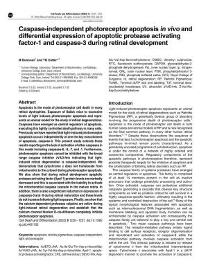 Caspase-Independent Photoreceptor Apoptosis in Vivo and Differential Expression of Apoptotic Protease Activating Factor-1 and Caspase-3 During Retinal Development
