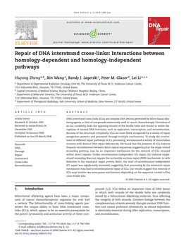 Repair of DNA Interstrand Cross-Links: Interactions Between Homology-Dependent and Homology-Independent Pathways
