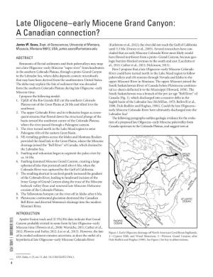 Late Oligocene–Early Miocene Grand Canyon: a Canadian Connection?