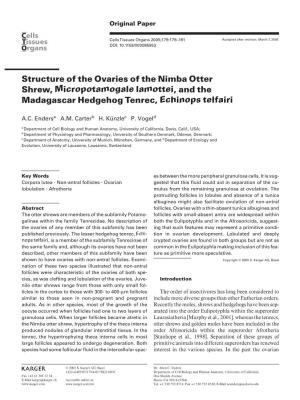 Structure of the Ovaries of the Nimba Otter Shrew, Micropotamogale Lamottei , and the Madagascar Hedgehog Tenrec, Echinops Telfairi