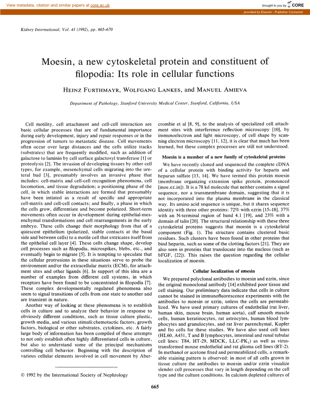 Moesin, a New Cytoskeletal Protein and Constituent of Filopodia: Its Role in Cellular Functions