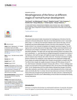Morphogenesis of the Femur at Different Stages of Normal Human Development