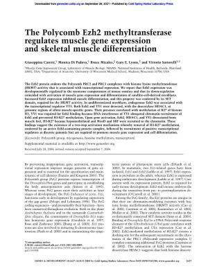 The Polycomb Ezh2 Methyltransferase Regulates Muscle Gene Expression and Skeletal Muscle Differentiation