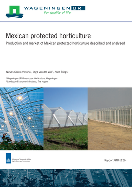 Mexican Protected Horticulture Production and Market of Mexican Protected Horticulture Described and Analysed