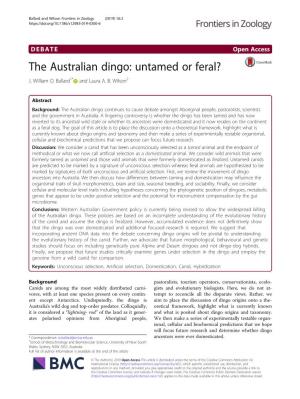 The Australian Dingo: Untamed Or Feral? J