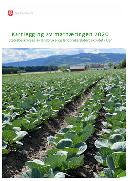 Kartlegging Av Matnæringen 2020 Statusbeskrivelse Av Landbruks- Og Landbruksrelatert Aktivitet I Lier