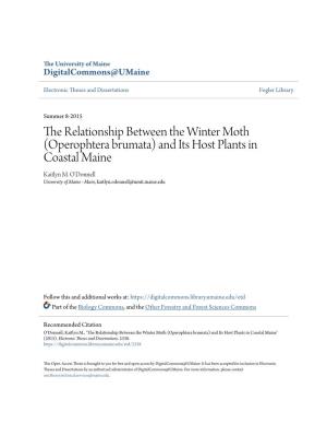 The Relationship Between the Winter Moth (Operophtera Brumata) and Its Host Plants in Coastal Maine Kaitlyn M