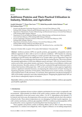 Antifreeze Proteins and Their Practical Utilization in Industry, Medicine, and Agriculture