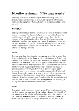 Digestive System Part 3(The Large Intestine) the Large Intestine Is the Terminal Part of the Alimentary Canal