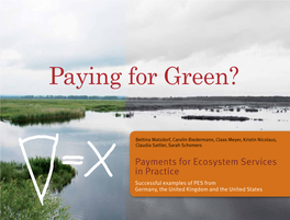 Paying for Green?