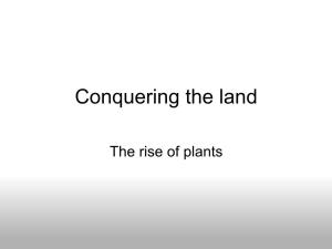 Plant Evolution