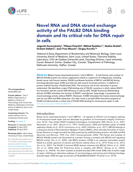 Novel RNA and DNA Strand Exchange Activity of the PALB2 DNA Binding