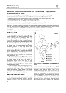 The Lichen Genera Dictyomeridium and Polymeridium (Trypetheliales: Trypetheliaceae) in India