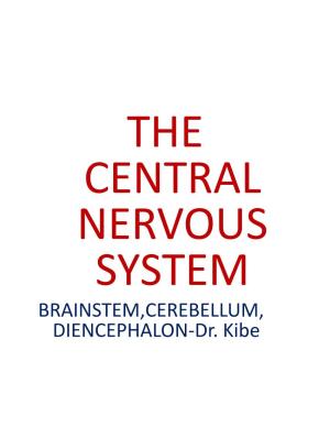 BRAINSTEM,CEREBELLUM, DIENCEPHALON-Dr. Kibe INTRODUCTION the Brain Is One of the Largest Organs in Adults