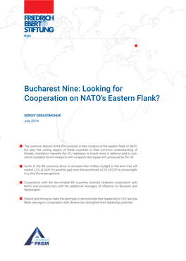 Bucharest Nine: Looking for Cooperation on NATO's Eastern Flank?