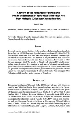 A Review of the Teinobasis of Sundaland, with the Description of Teinobasis Cryptica Sp