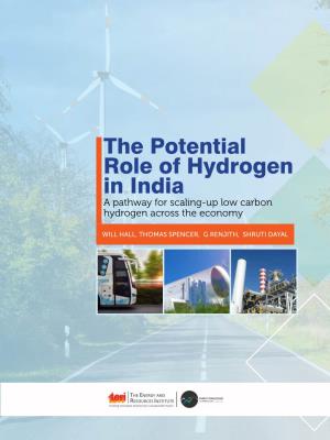 The Potential Role of Hydrogen in India a Pathway for Scaling-Up Low Carbon Hydrogen Across the Economy
