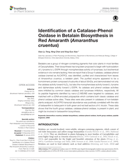 Identification of a Catalase-Phenol Oxidase in Betalain Biosynthesis In