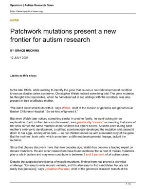 Patchwork Mutations Present a New Frontier for Autism Research