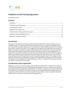 Guidelines to Self-Training Approaches