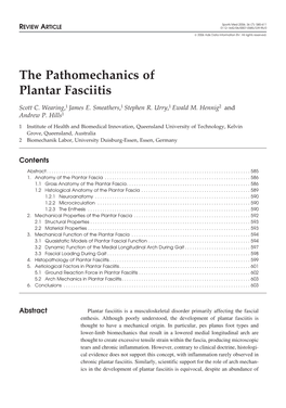 The Pathomechanics of Plantar Fasciitis