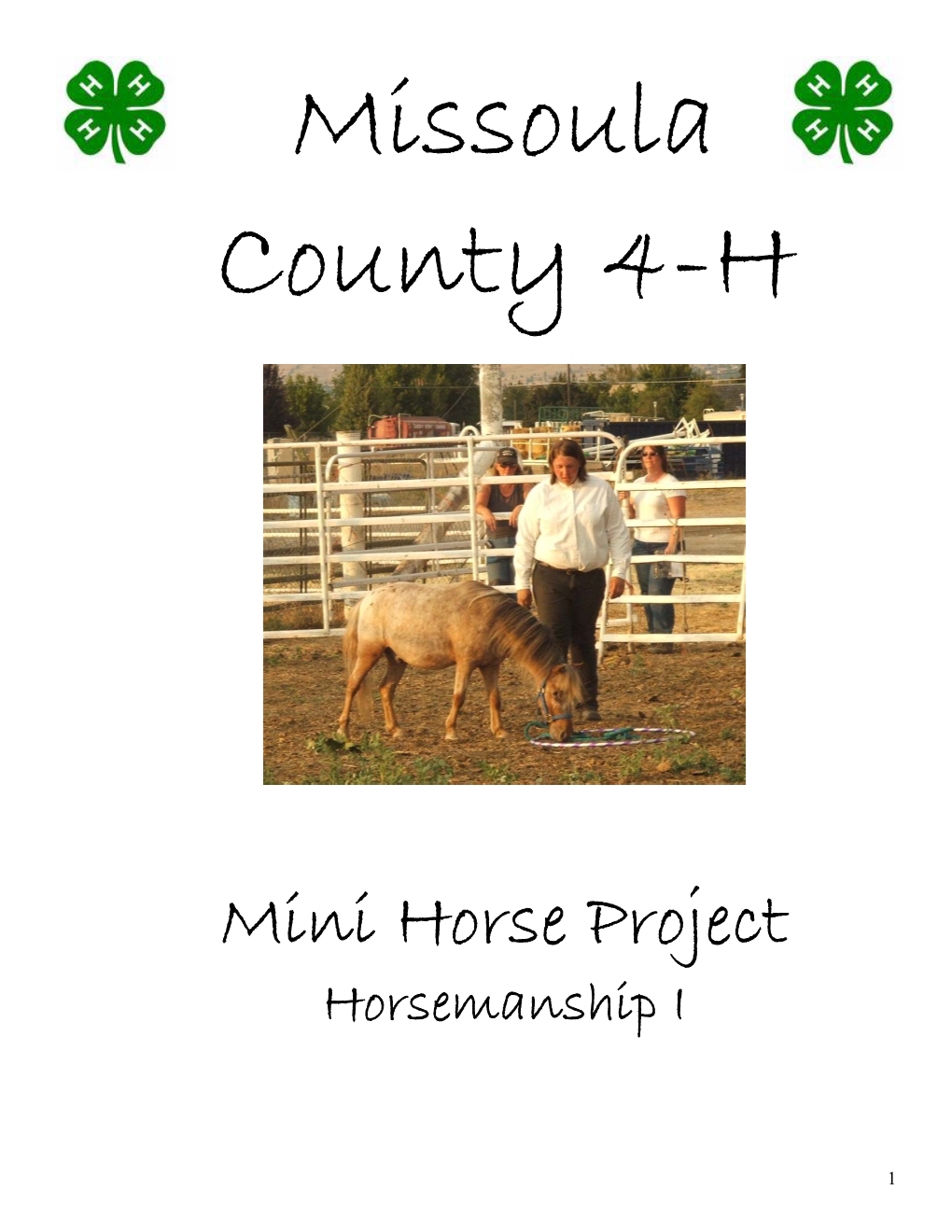 Mini Horse Project Horsemanship I