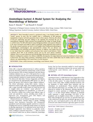 Astatotilapia Burtoni: a Model System for Analyzing the Neurobiology of Behavior Karen P