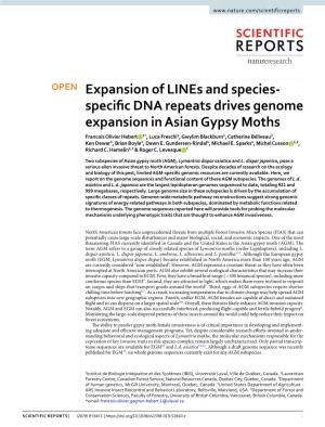 Expansion of Lines and Species-Specific DNA Repeats