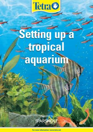 Setting up a Tropical Aquarium