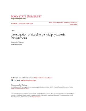 Investigation of Rice Diterpenoid Phytoalexin Biosynthesis Benjamin C
