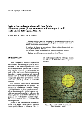 Nota Sobre Un Fuerte Ataque Del Bupréstido Phaenops Cyanea (F.) En Un Monte De Pinus Nigra Arnold En La Sierra Del Segura
