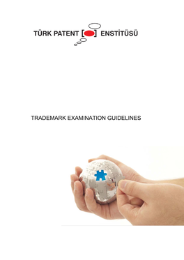 Trademark Examination Guidelines