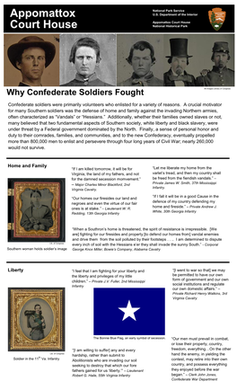 Why Confederates Fought