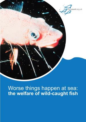 Worse Things Happen at Sea: the Welfare of Wild-Caught Fish