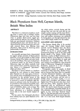 Black Phytokarst from Hell, Cayman Islands, British West Indies