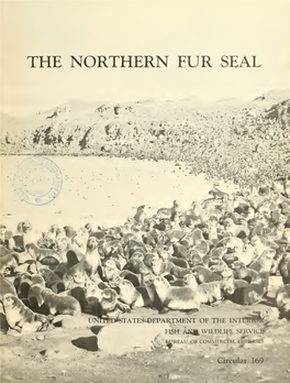 Circular 169. the Northern Fur Seal