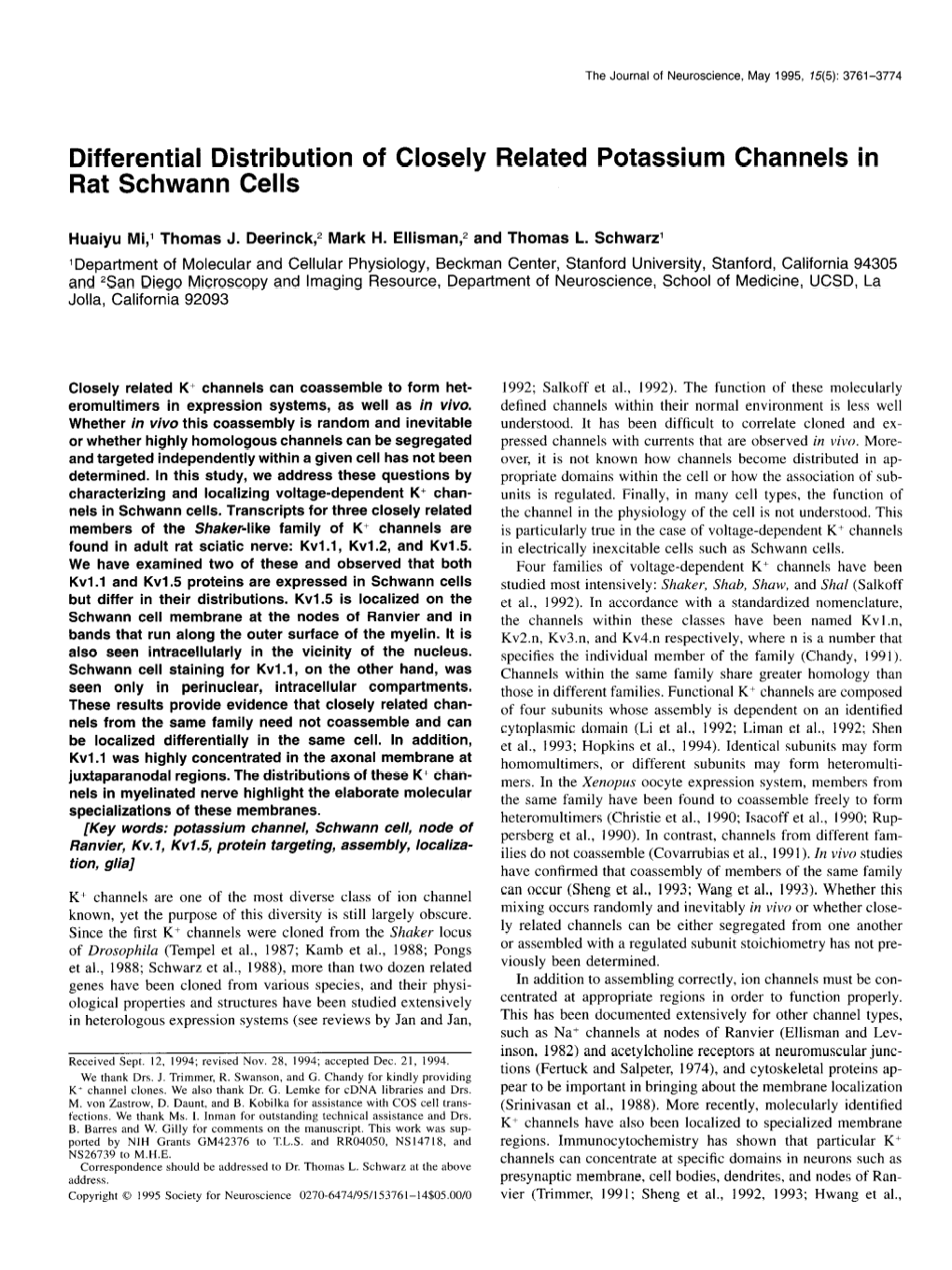 Differential Distribution of Closely Related Potassium Channels in Rat Schwann Cells