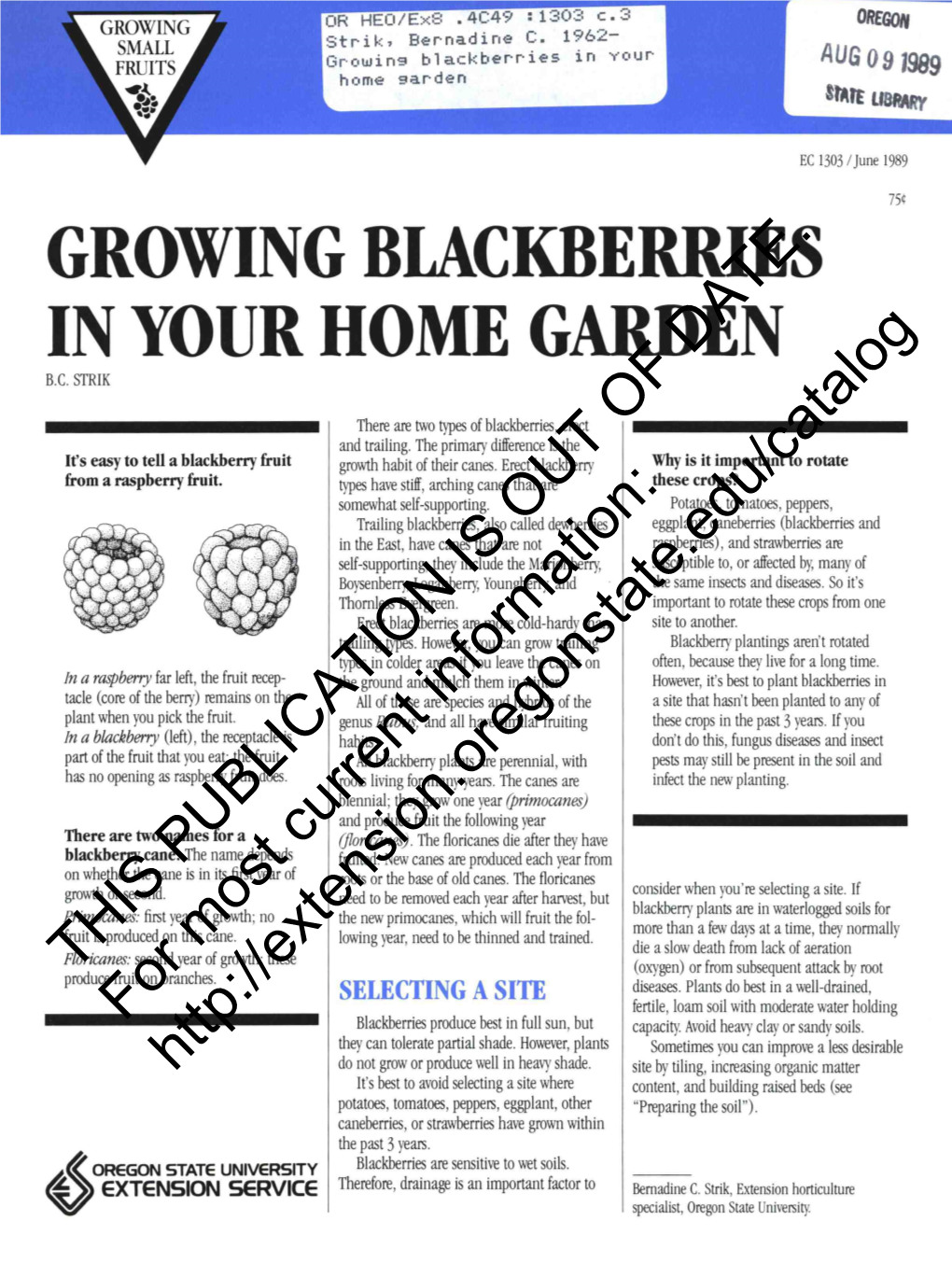 Growing Blackberries in Your Home Gardendate