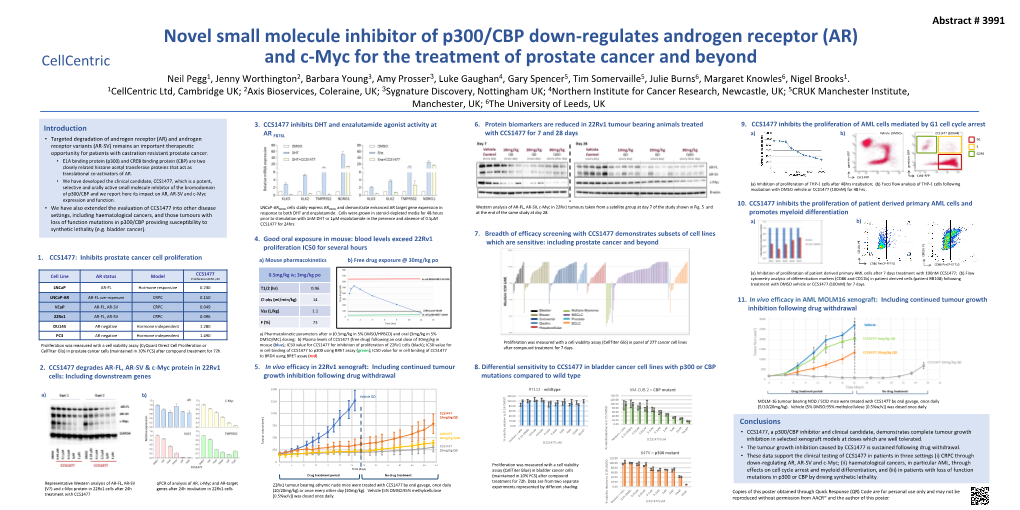 (AR) and C-Myc for the Treatment of Prostate Cancer