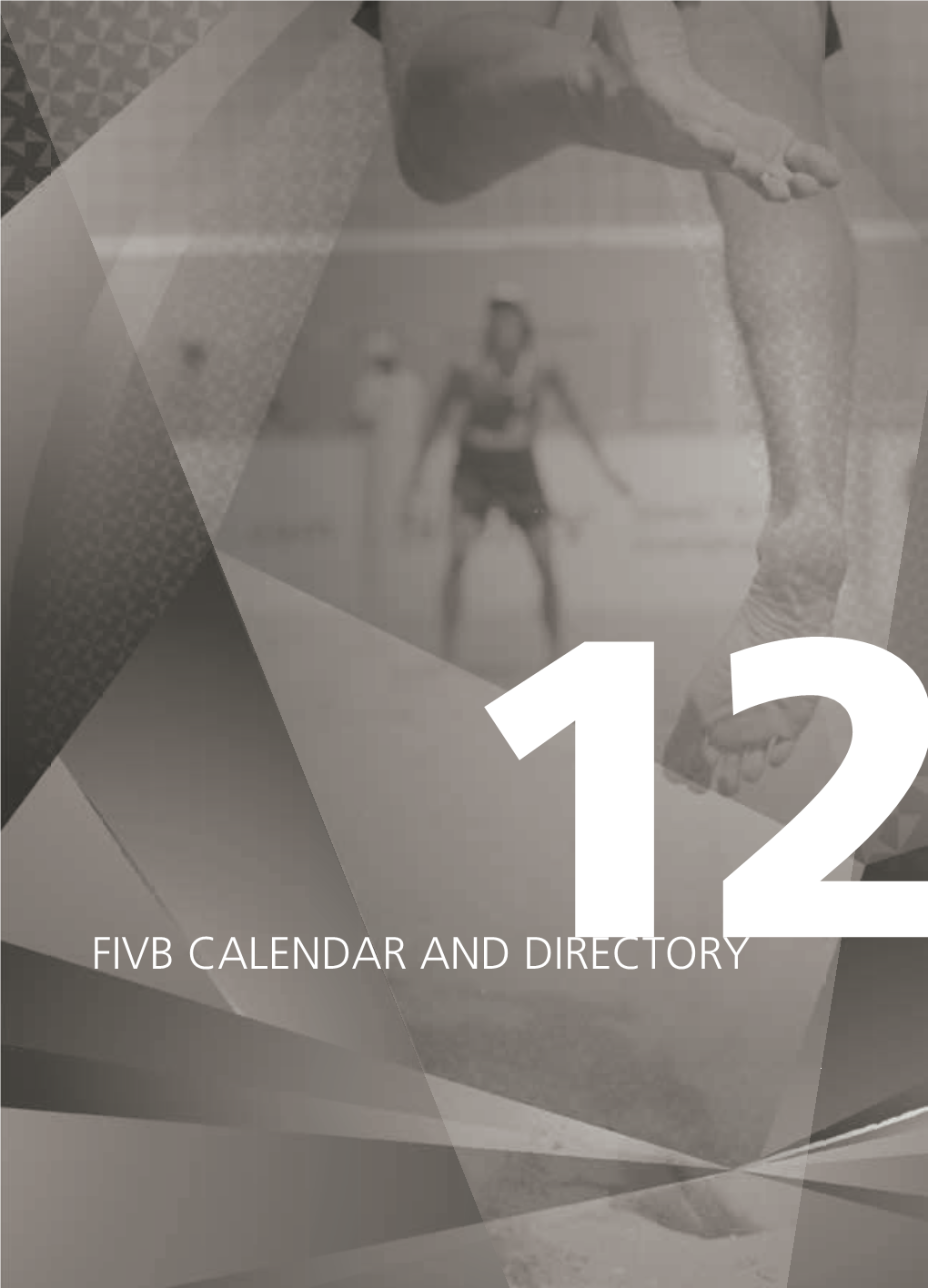 Fivb Calendar and Directory