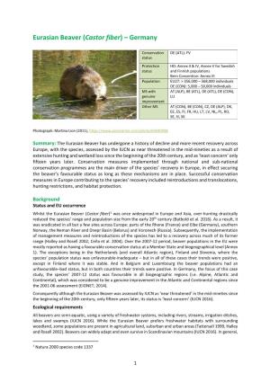 Eurasian Beaver (Castor Fiber) – Germany
