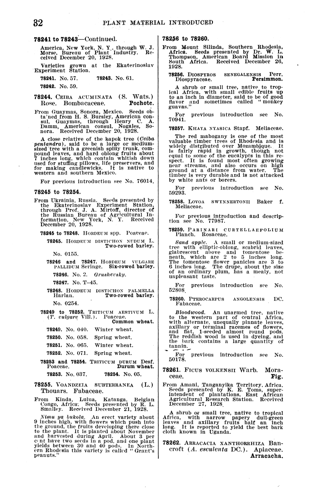 PJ.ANT MATERIAL INTRODUCED 78241 to 78243—Continued. America, New York, N. Y , Through W. J. Morse, Bureau of Plant * Industry