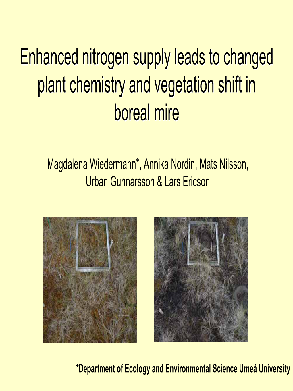 Plant Fungal Interactions & Vegetation Change Under Elevated Nitrogen Supply