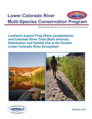 Lowland Leopard Frog (Rana Yavapaiensis) and Colorado River Toad (Bufo Alvarius) Distribution and Habitat Use in the Greater Lower Colorado River Ecosystem