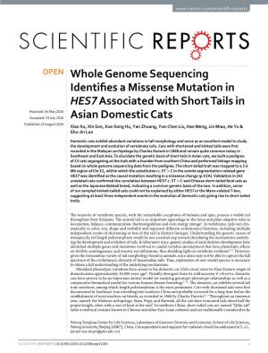 Whole Genome Sequencing Identifies a Missense Mutation in HES7 Associated with Short Tails in Asian Domestic Cats