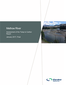 Methow River Assessment of the Twisp to Carlton Reach January 2017, Final